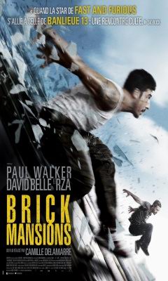 Brick Mansions