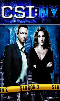 CSI: NY - Season 2