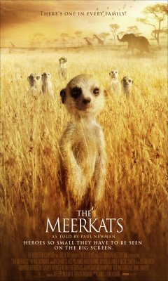 THE MEERKATS