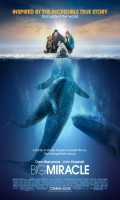 Big Miracle