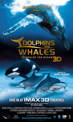Dolphins and Whales 3D